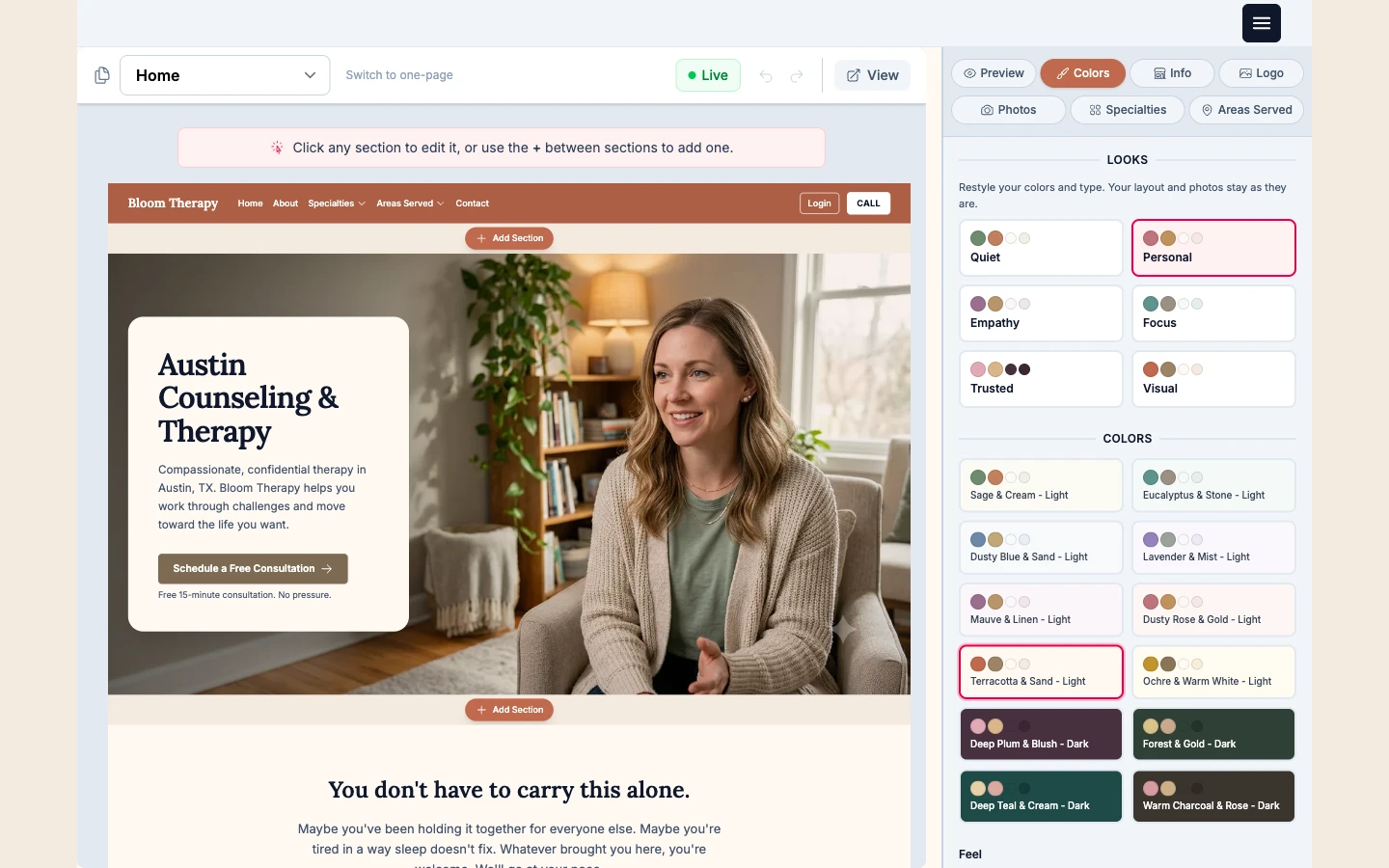 Website editor on desktop - click any section to customize